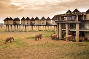 Explorer Tsavo West : Un Paradis Sauvage et Aventure vous Attend 2025