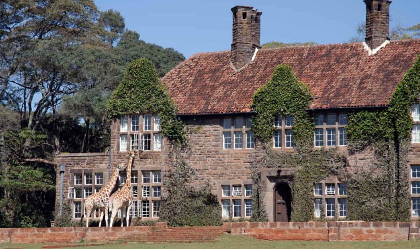 Nairobi en une journée : du David Sheldrick Centre au Carnivore Restaurant