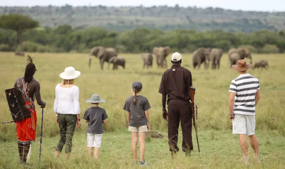Découvrez les meilleures activités safari familiales au Kenya avec des conseils d'experts pour les safaris en véhicule, les visites culturelles, les balades en bateau et bien plus encore. Planifiez votre aventure en famille parfaite avec Tour Afrique Orientale.