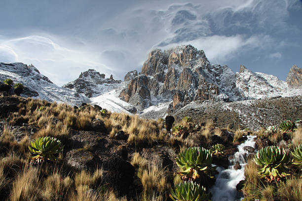 Mont Kenya : Une Destination Majestueuse pour les Amoureux de l'Aventure et de la Nature 2025