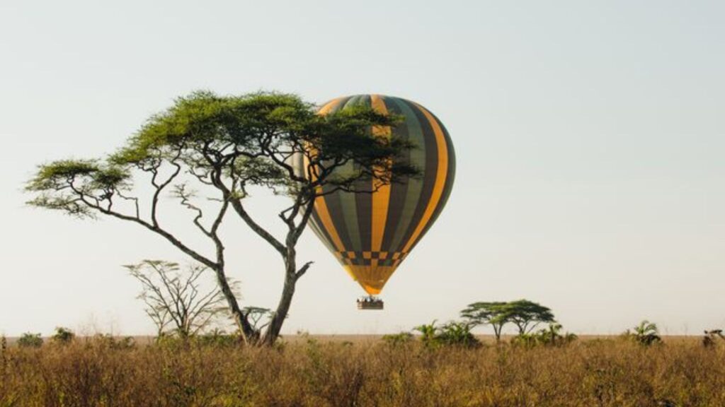 Safari de 10 Jours au Kenya : À la Découverte de Tsavo, Amboseli, Nakuru, Naivasha et Masai Mara