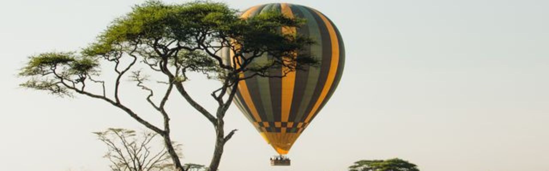 Safari de 10 Jours au Kenya : À la Découverte de Tsavo, Amboseli, Nakuru, Naivasha et Masai Mara