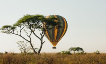Safari de 10 Jours au Kenya : À la Découverte de Tsavo, Amboseli, Nakuru, Naivasha et Masai Mara