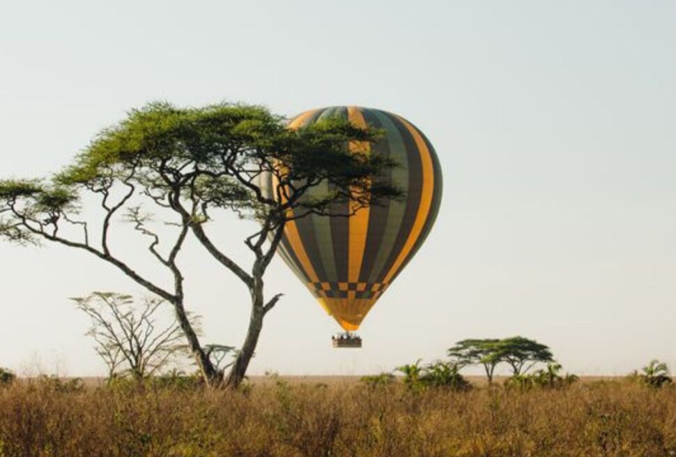 Safari de 10 Jours au Kenya : À la Découverte de Tsavo, Amboseli, Nakuru, Naivasha et Masai Mara