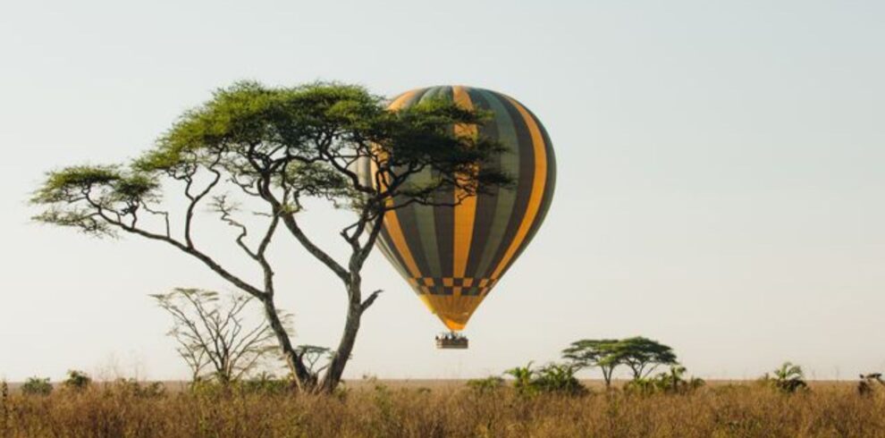 Safari de 10 Jours au Kenya : À la Découverte de Tsavo, Amboseli, Nakuru, Naivasha et Masai Mara