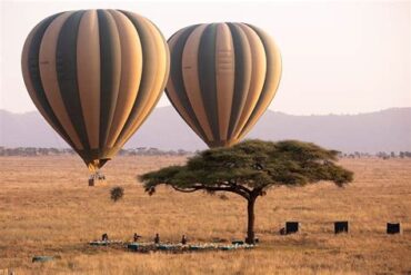 Découvrez les meilleures activités d'aventure au Kenya, des visites de villes aux vols en montgolfière, dès 30 €. Préparez dès aujourd’hui votre prochaine expérience inoubliable !