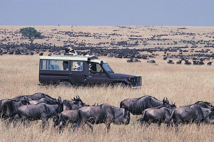 Top 5 des lieux à visiter dans le Maasai Mara