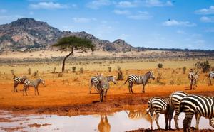 Comment voyager au Kenya : 10 jours au paradis 2025