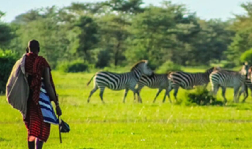 7 Itinéraires Ultimes pour un Safari et Séjour Plage au Kenya en 2025
