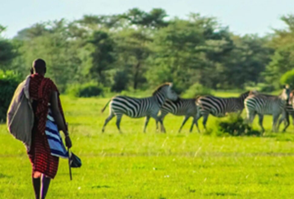 7 Itinéraires Ultimes pour un Safari et Séjour Plage au Kenya en 2025
