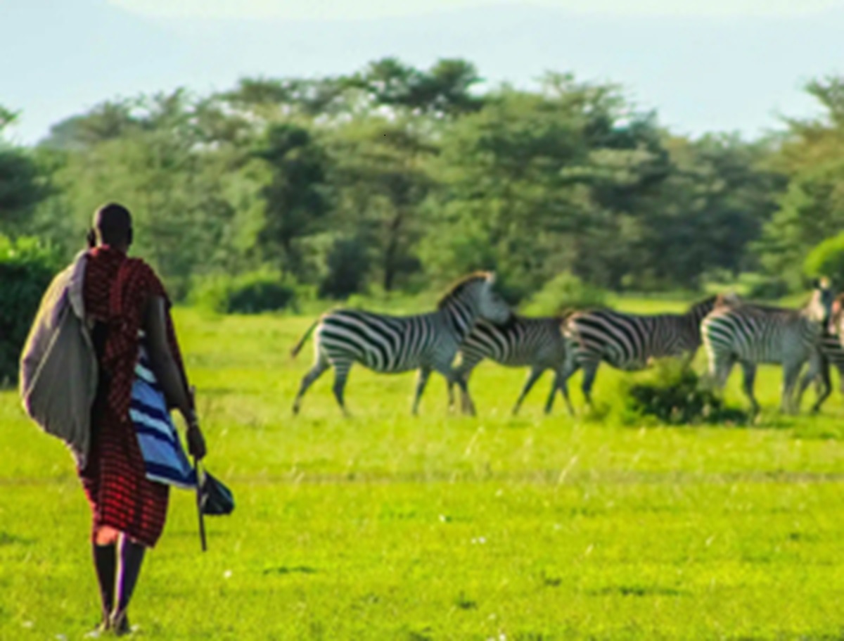 7 Itinéraires Ultimes pour un Safari et Séjour Plage au Kenya en 2025