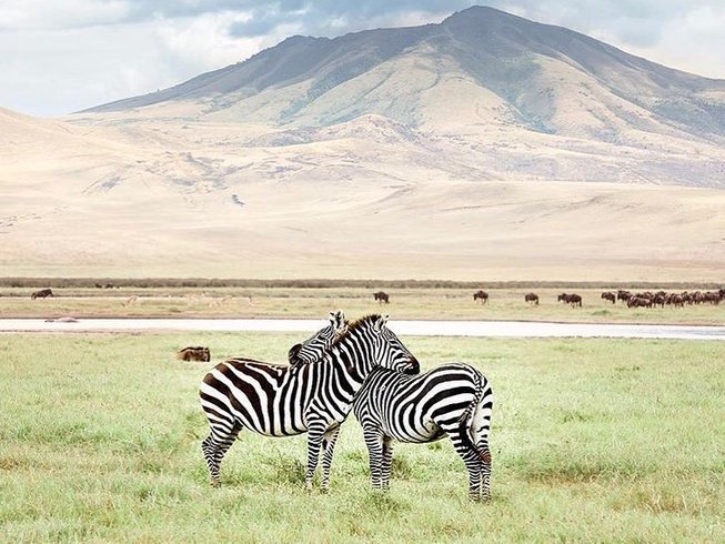 Itinéraire parfait de 8 jours au Kenya : Safari, culture et plages