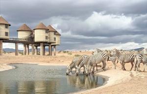 Top 5 des plages à visiter sur la côte kenyane 2025