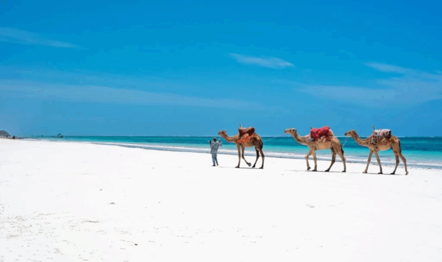 Les 4 meilleures vacances safari et plage au Kenya à ne pas manquer !