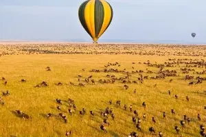 Comment planifier la parfaite Grande Migration du Gnou en 2025