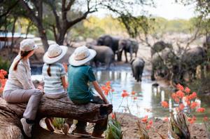 Safari africain avec des enfants : 5 choses à considérer