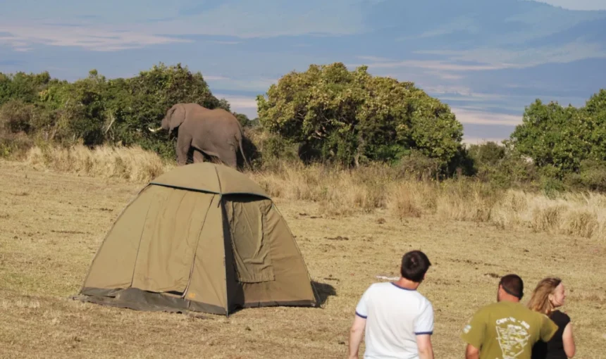 10 Conseils pour un Camping Safari au Kenya : Élevez Votre Aventure 🏕️