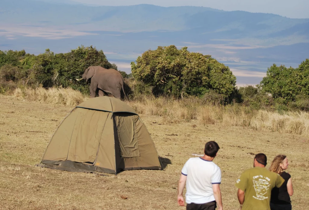 10 Conseils pour un Camping Safari au Kenya : Élevez Votre Aventure 🏕️