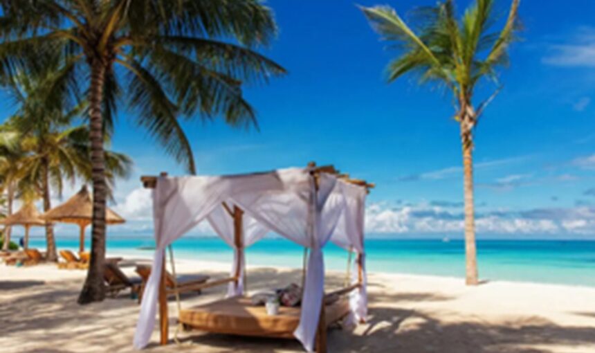 Forfaits Safari et Plage Tout Compris : En Valont-Ils Vraiment la Peine ?