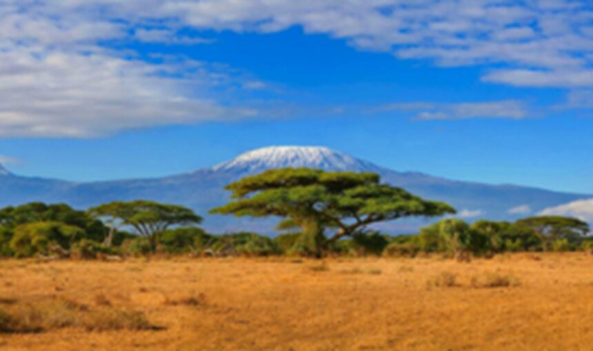 Explorez l’Afrique de l’Est par type d’expérience : Safaris, Séjours Balnéaires, Tours Culturels et Plus avec Tour Afrique Orientale