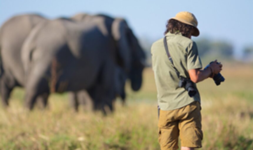 Voyager Seul en Afrique de l’Est : Une Aventure Sécurisée et Palpitante
