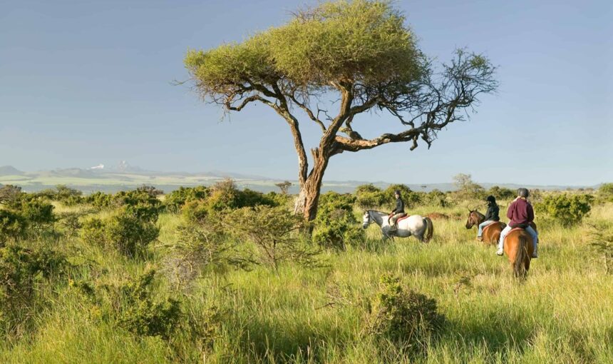 Réserve de Lewa : Là où Conservation Rime avec Aventure