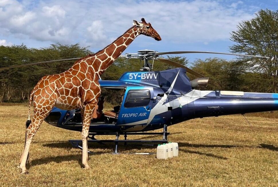 ELEVATE : Le Safari Hélico de Luxe Qui Réinvente le Voyage au Kenya