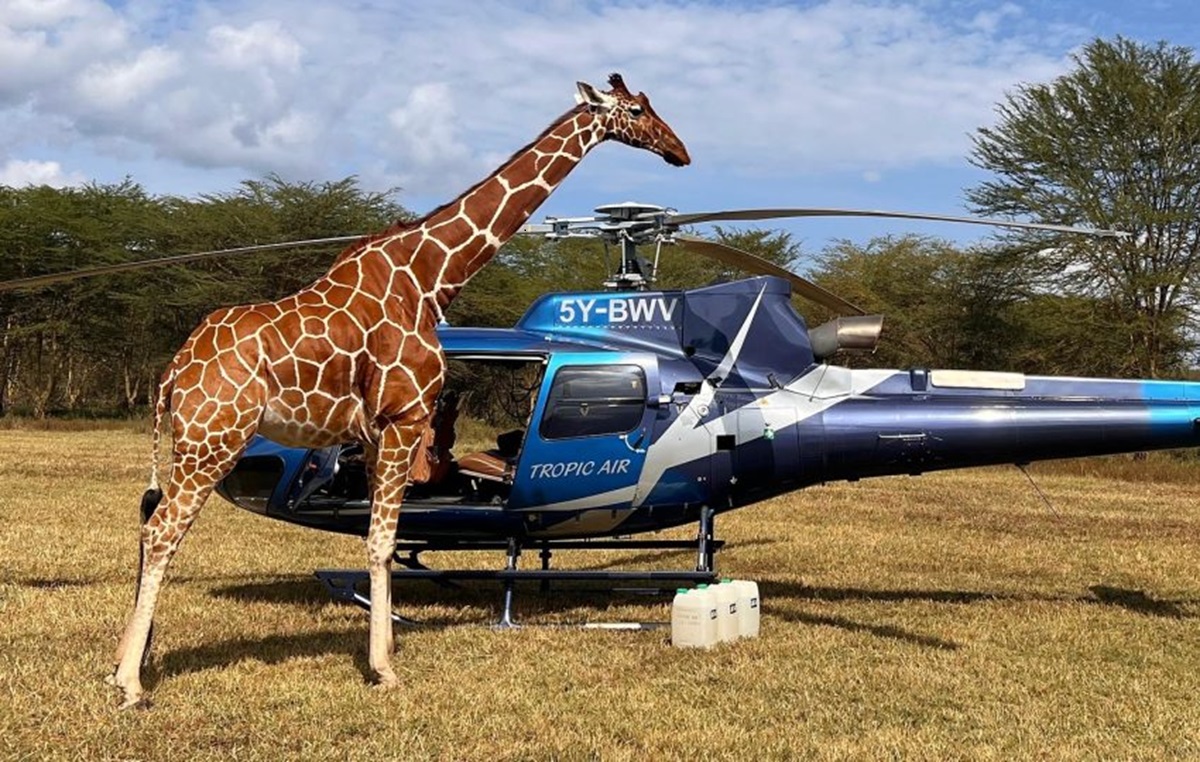 ELEVATE : Le Safari Hélico de Luxe Qui Réinvente le Voyage au Kenya