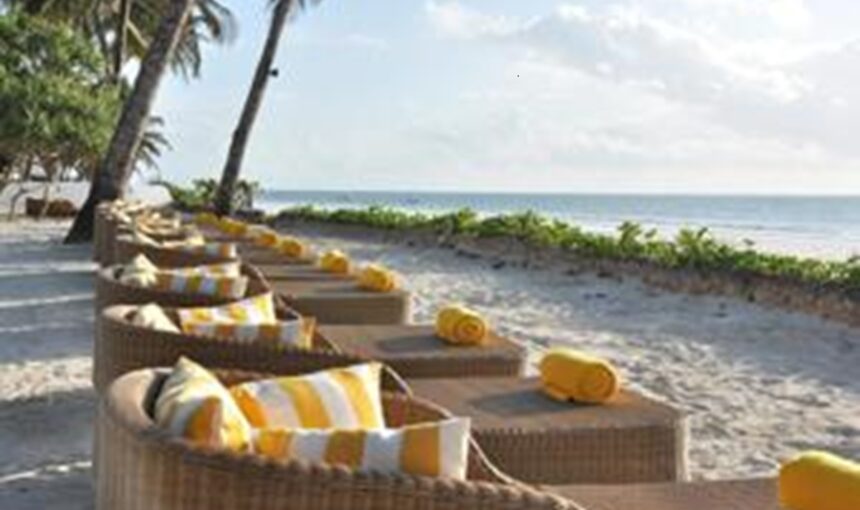 Top Destinations Nature en Afrique de l’Est pour les Amoureux de Safaris et de Plages