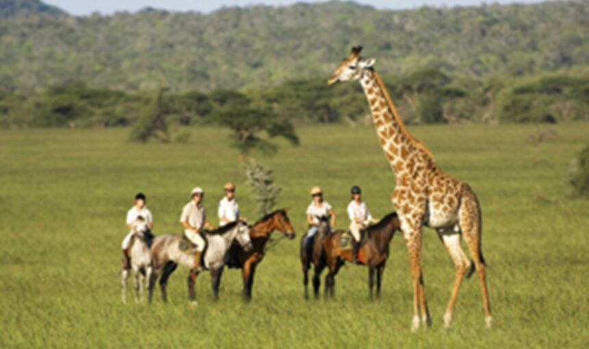 Horseback Riding Safaris: A Unique Way to Explore the Wild