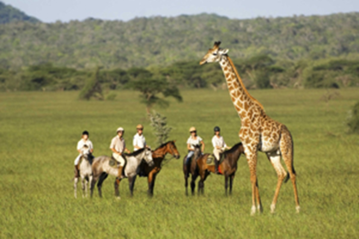 Horseback Riding Safaris: A Unique Way to Explore the Wild