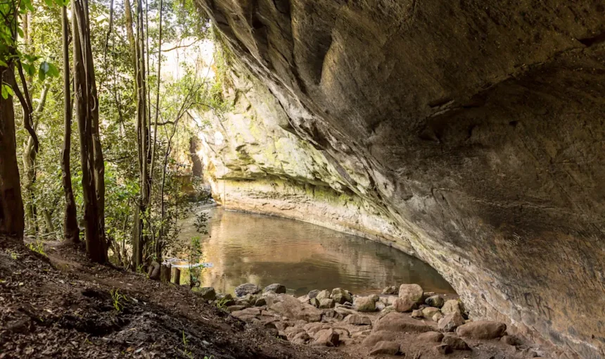 Découvrez les sentiers cachés, tunnels et histoires méconnues derrière les lieux les plus emblématiques du monde