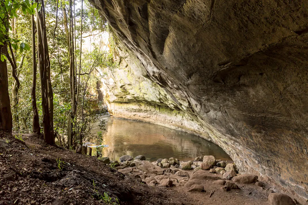 Découvrez les sentiers cachés, tunnels et histoires méconnues derrière les lieux les plus emblématiques du monde