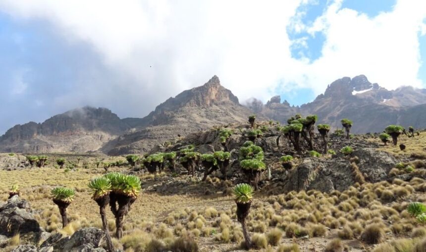 Mont Kenya : Randonnée sur le deuxième plus haut sommet d’Afrique