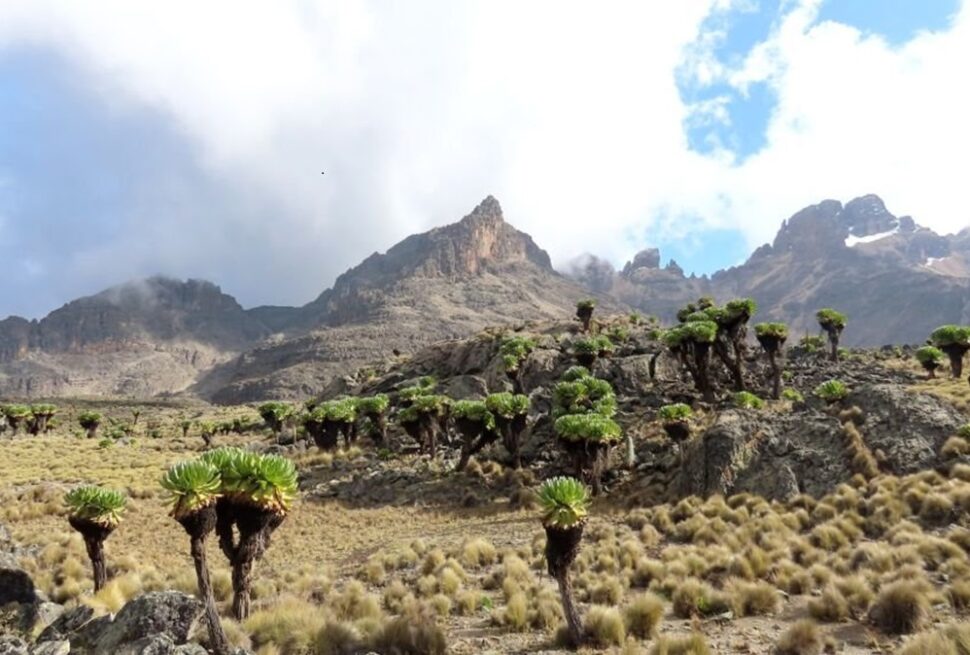 Mont Kenya : Randonnée sur le deuxième plus haut sommet d’Afrique