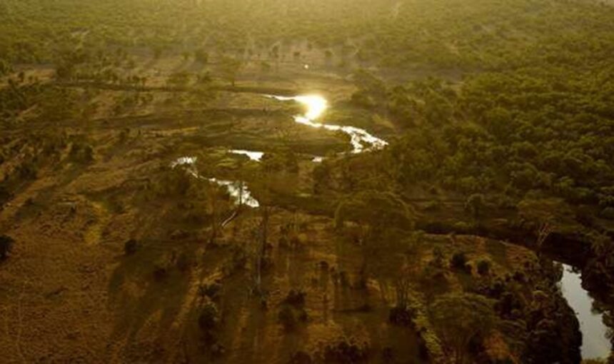 Ol Pejeta : Réserve de Conservation et Rencontres Inoubliables avec la Faune