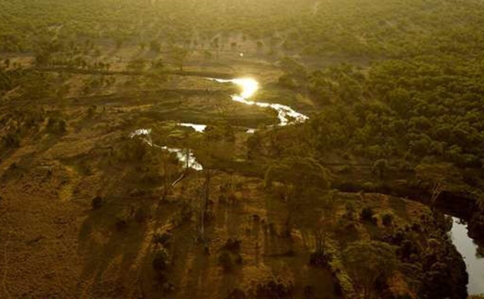 Ol Pejeta Réserve de Conservation et Rencontres Inoubliables avec la Faune