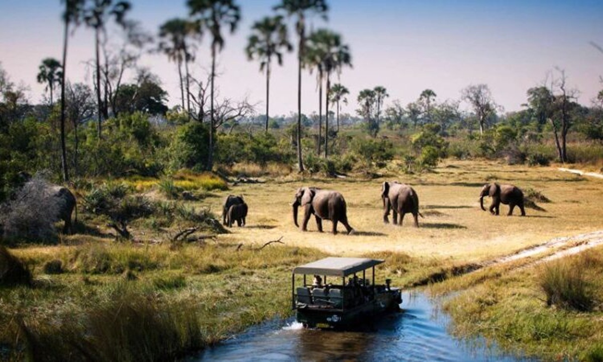 Découvrez les meilleures aventures de safari en Tanzanie avec Tour Afrique Orientale : Serengeti, Ngorongoro, Tarangire et extension à Zanzibar. Voyages sur mesure et conseils pratiques inclus