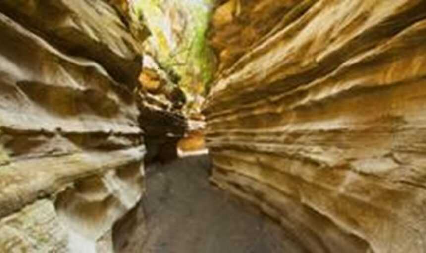 Tendances du Tourisme au Kenya en 2025 : Quoi de Neuf et d’Excitant