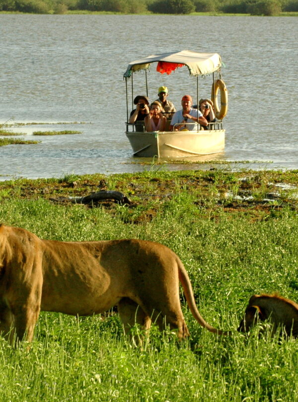 Découvrez Rufiji en Tanzanie, porte d’entrée du Parc National de Nyerere : safaris en bateau, faune abondante, nature sauvage et déconnexion totale en pleine Afrique.