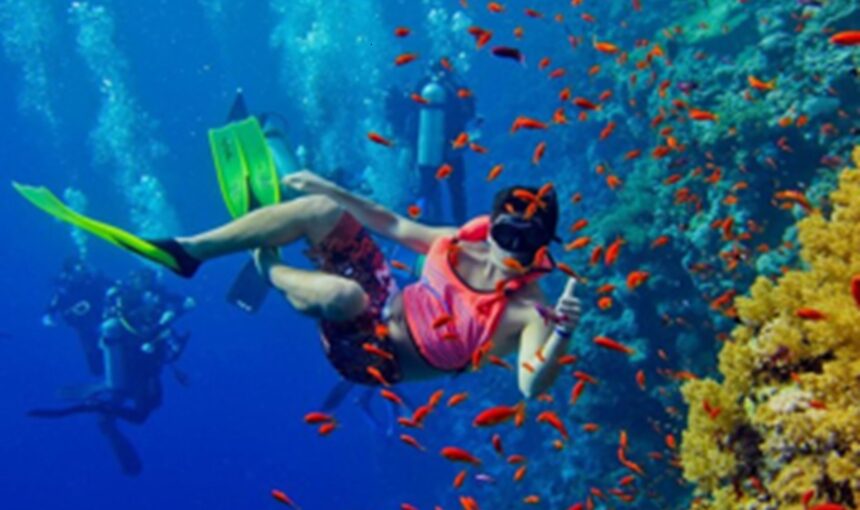 Plongée et snorkeling à Zanzibar : récifs coralliens et vie marine