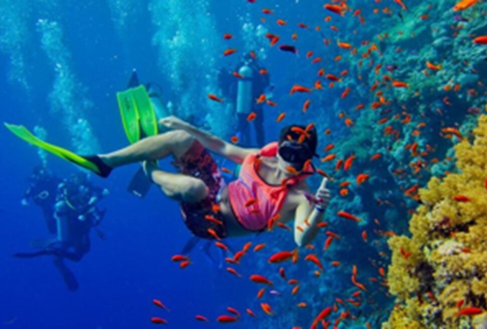 Plongée et snorkeling à Zanzibar : récifs coralliens et vie marine