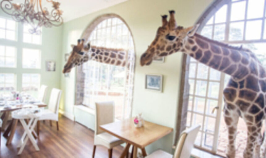 Giraffe Manor: Dining with Gentle Giants