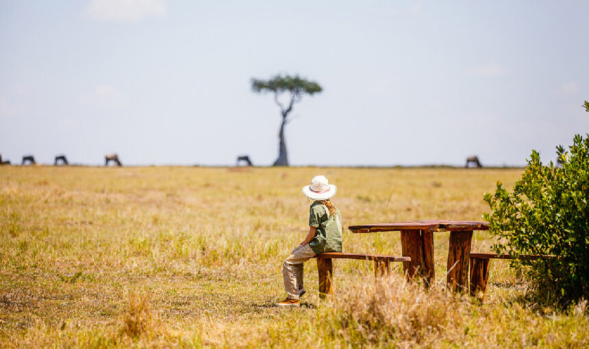 Meilleur Safari Afrique : 7 Destinations Époustouflantes en Tanzanie pour 2025