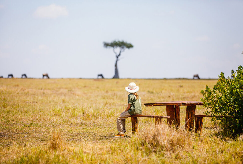 Meilleur Safari Afrique : 7 Destinations Époustouflantes en Tanzanie pour 2025