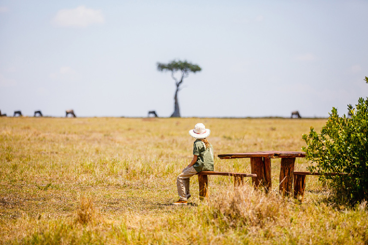 Meilleur Safari Afrique : 7 Destinations Époustouflantes en Tanzanie pour 2025