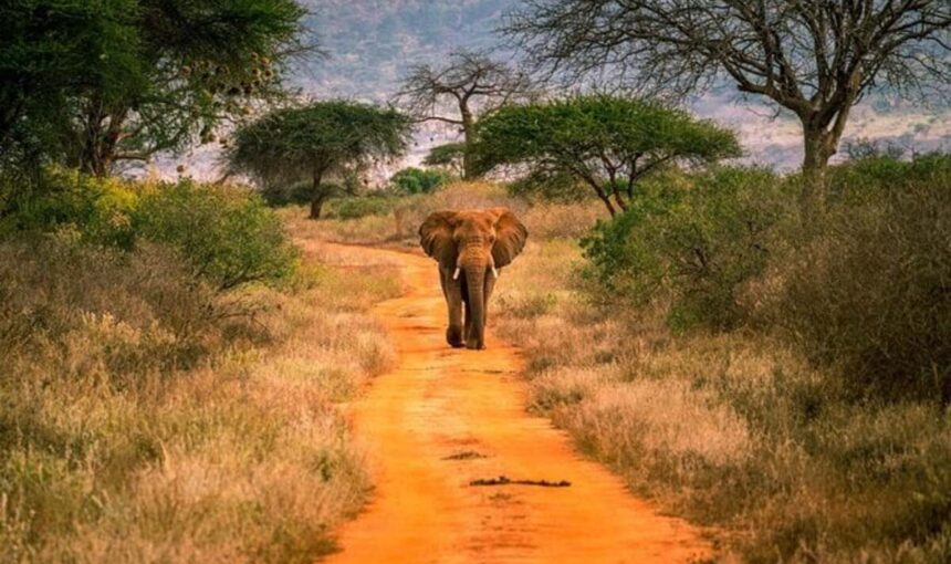 🏨 Différence entre Demi-Pension et Pension Complète : 5 Éléments Clés à Connaître