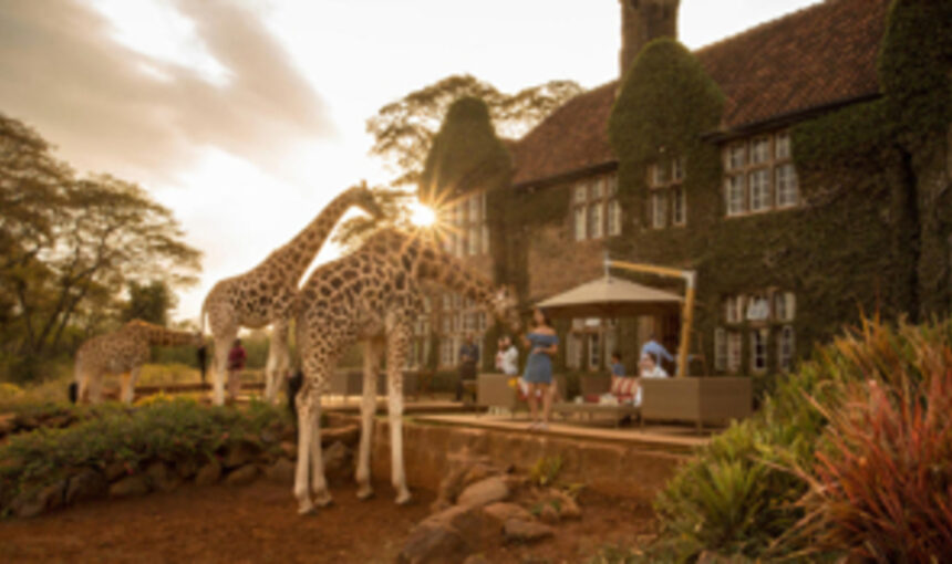 🦒 Giraffe Manor : Vivez un Petit Déjeuner Inoubliable avec les Girafes à Nairobi