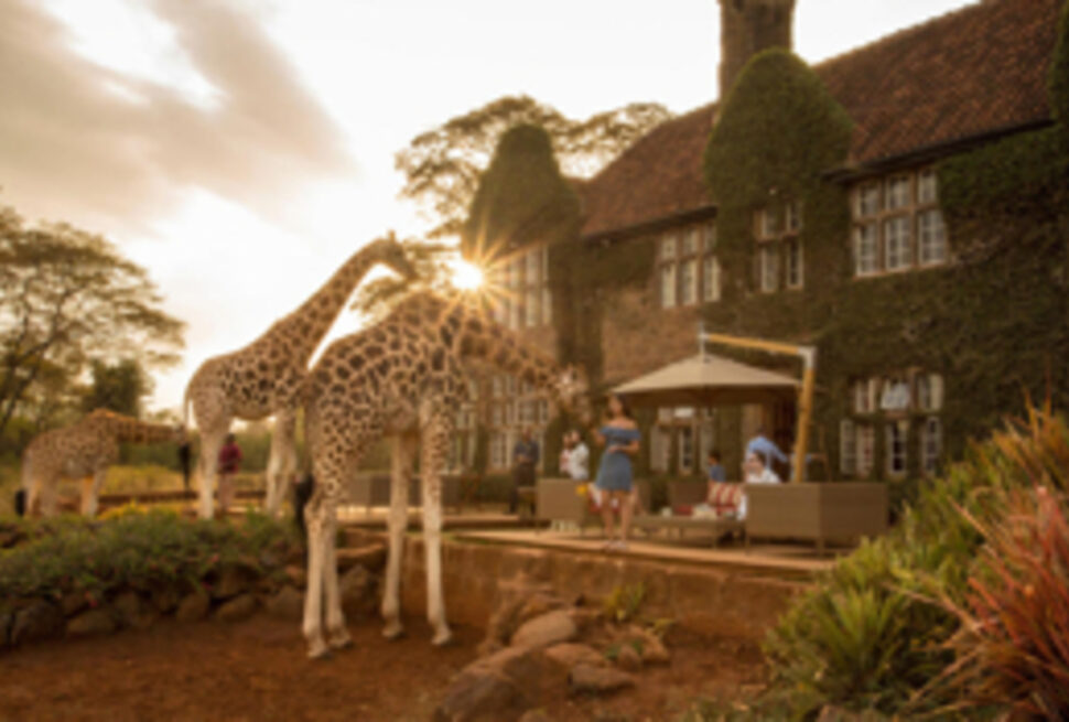 Giraffe Manor : Vivez un Petit Déjeuner Inoubliable avec les Girafes à Nairobi