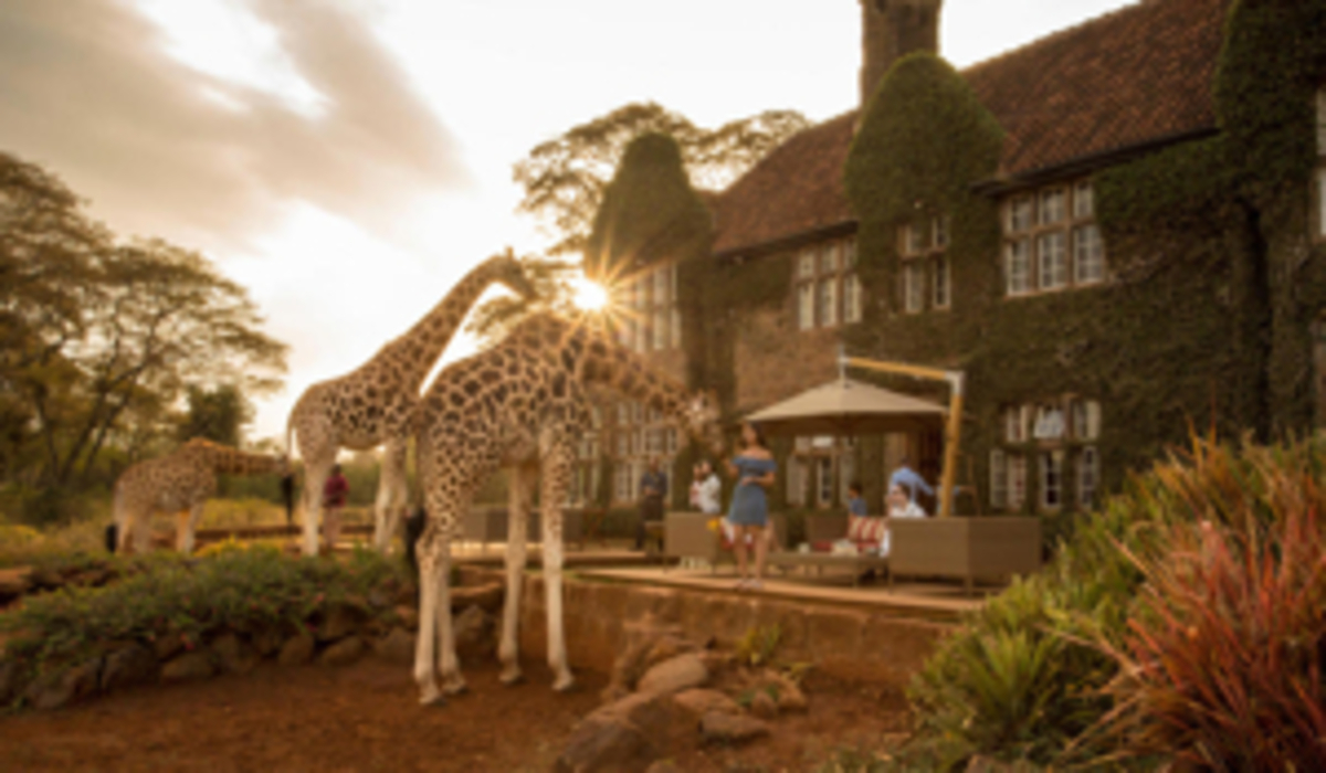 Giraffe Manor : Vivez un Petit Déjeuner Inoubliable avec les Girafes à Nairobi